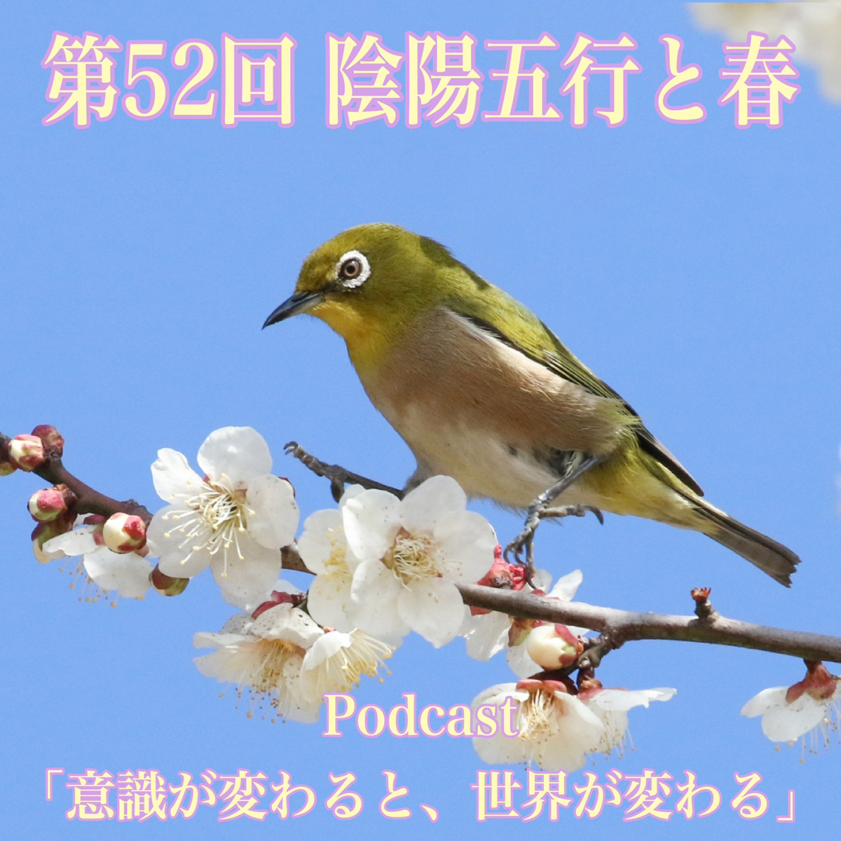 第52回 陰陽五行と春 episode artwork