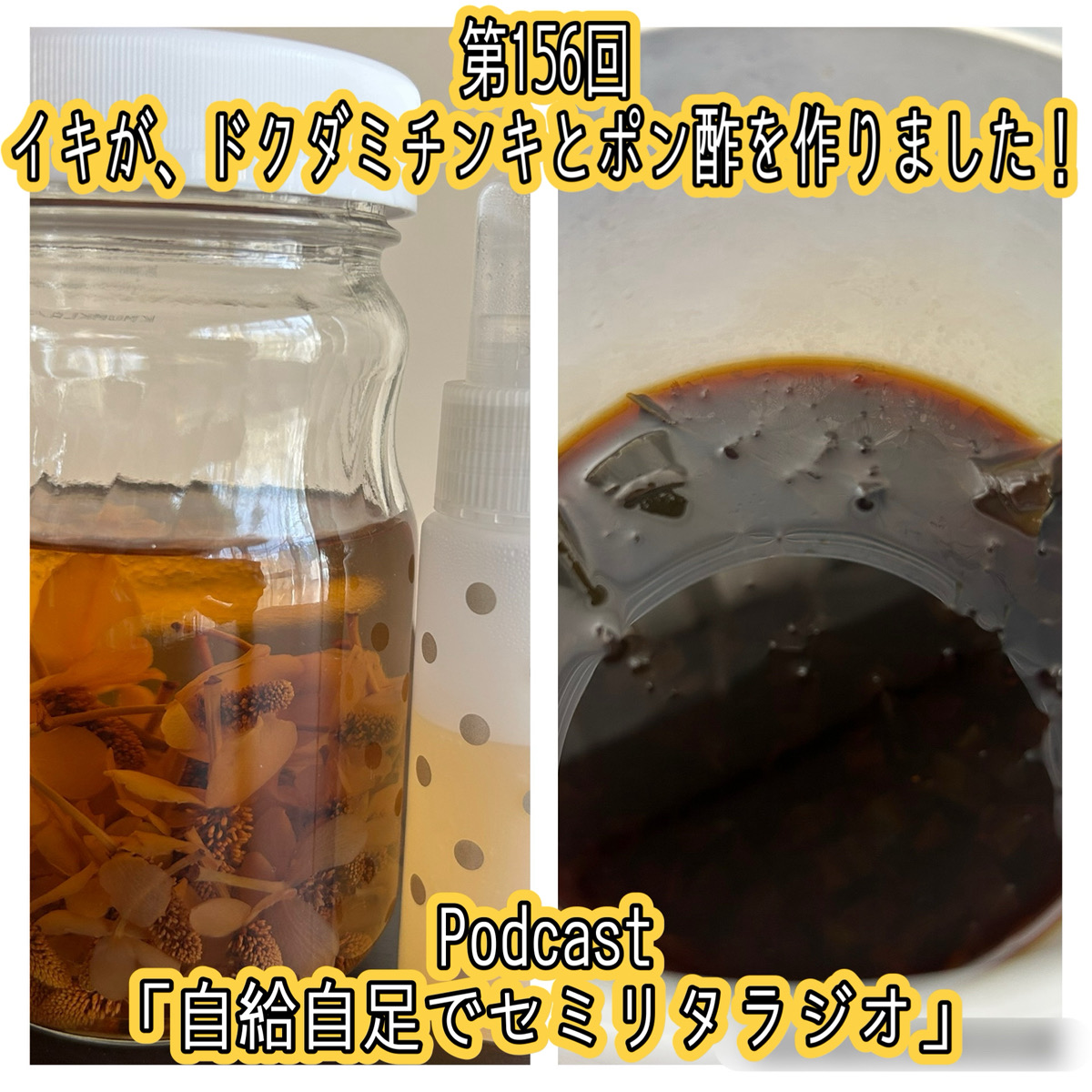 第156回 イキが、ドクダミチンキとポン酢を作りました！ episode artwork