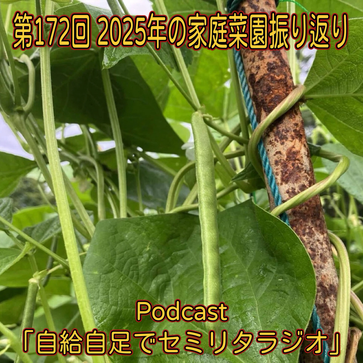 第172回 2025年の家庭菜園振り返り episode artwork
