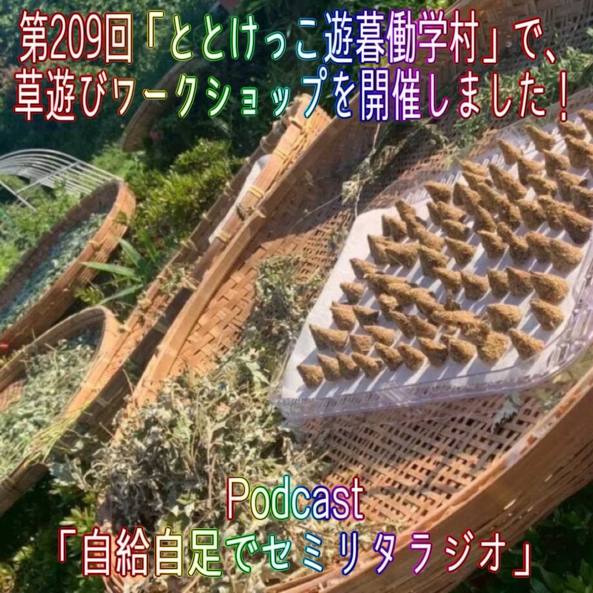 第209回「ととけっこ遊暮働学村」で、草遊びワークショップを開催しました！ episode artwork